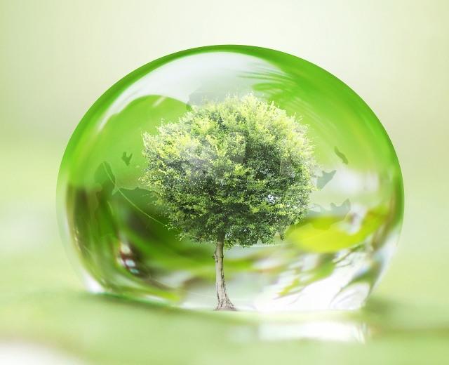 Circular Economy Principles in Sustainable Water System Management