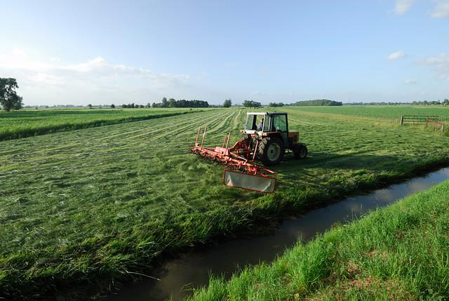 Expert Insights Into Sustainability for Food & Beverage Companies