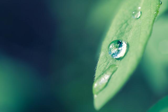 Water Security Is the Future of Water Stewardship