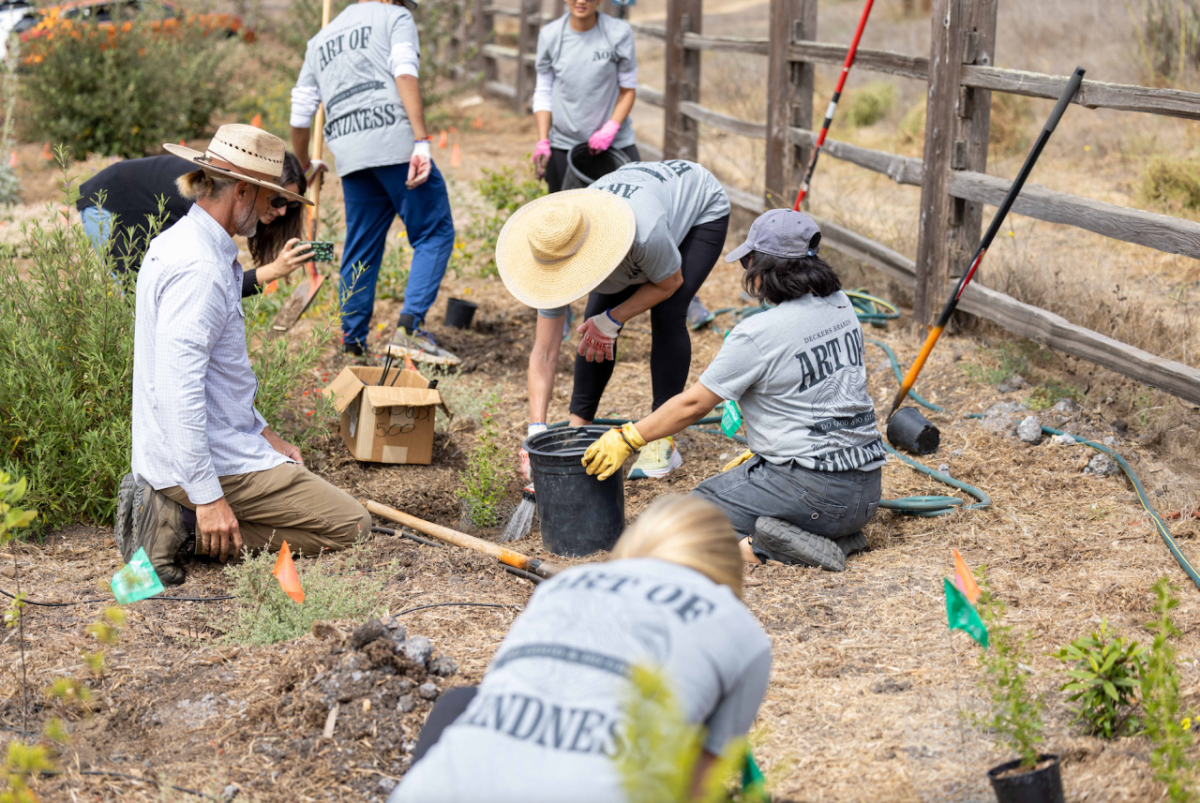 Deckers employee volunteer group planting