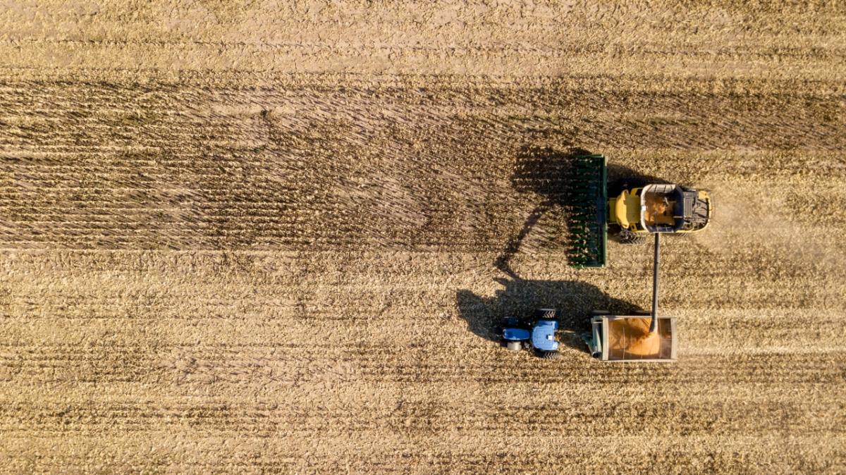 New Holland offers agricultural training for women crop field
