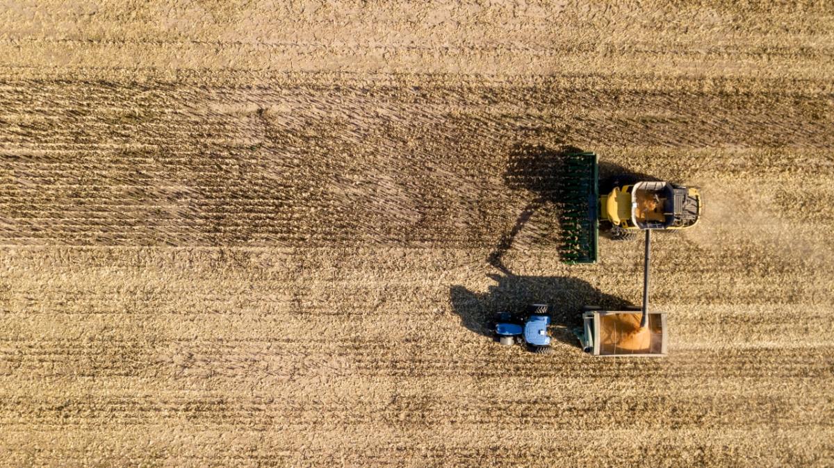 crop field