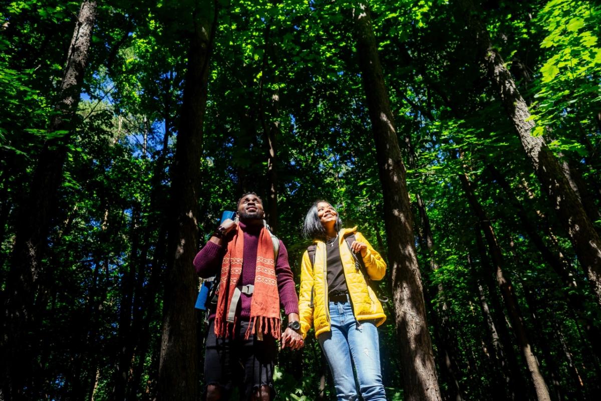 two people standing in a forest