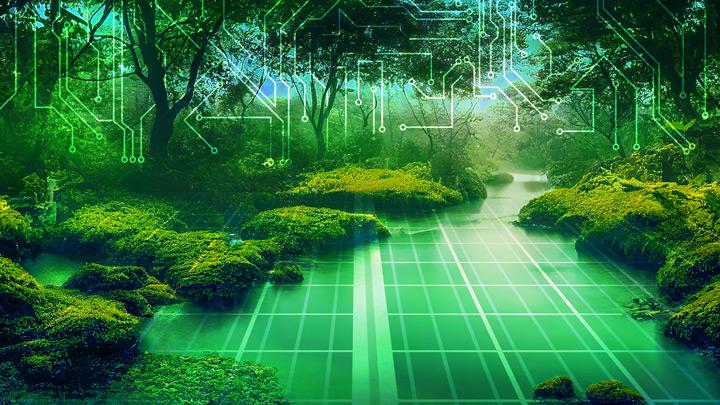 Green forest with bushes, groundcover, and trees with digital elements for the forest floor and overlayed on the image. 