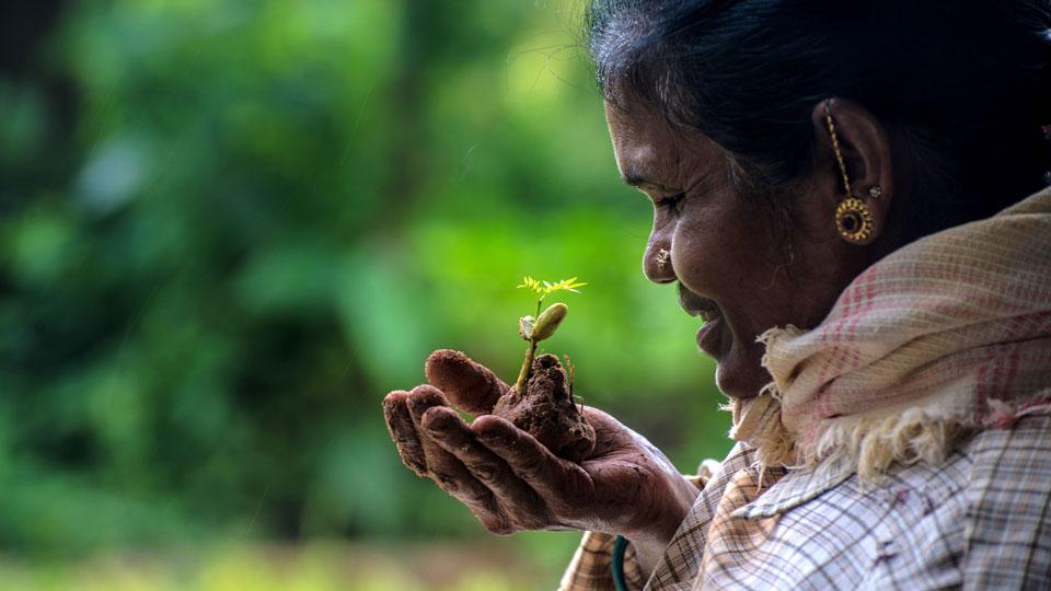 Person looking at a plant growing out of soil in their hand