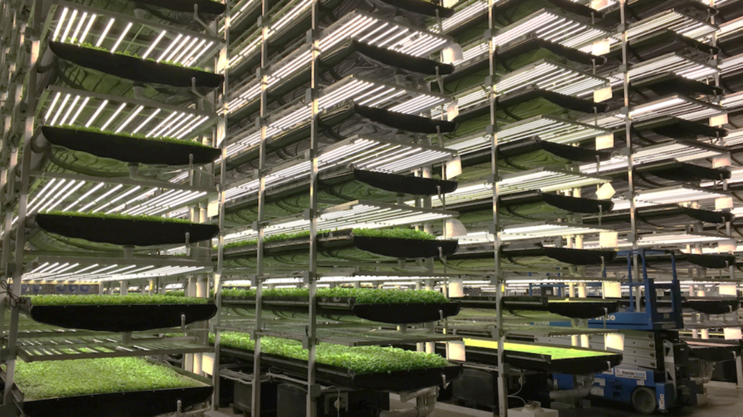 vertical farm