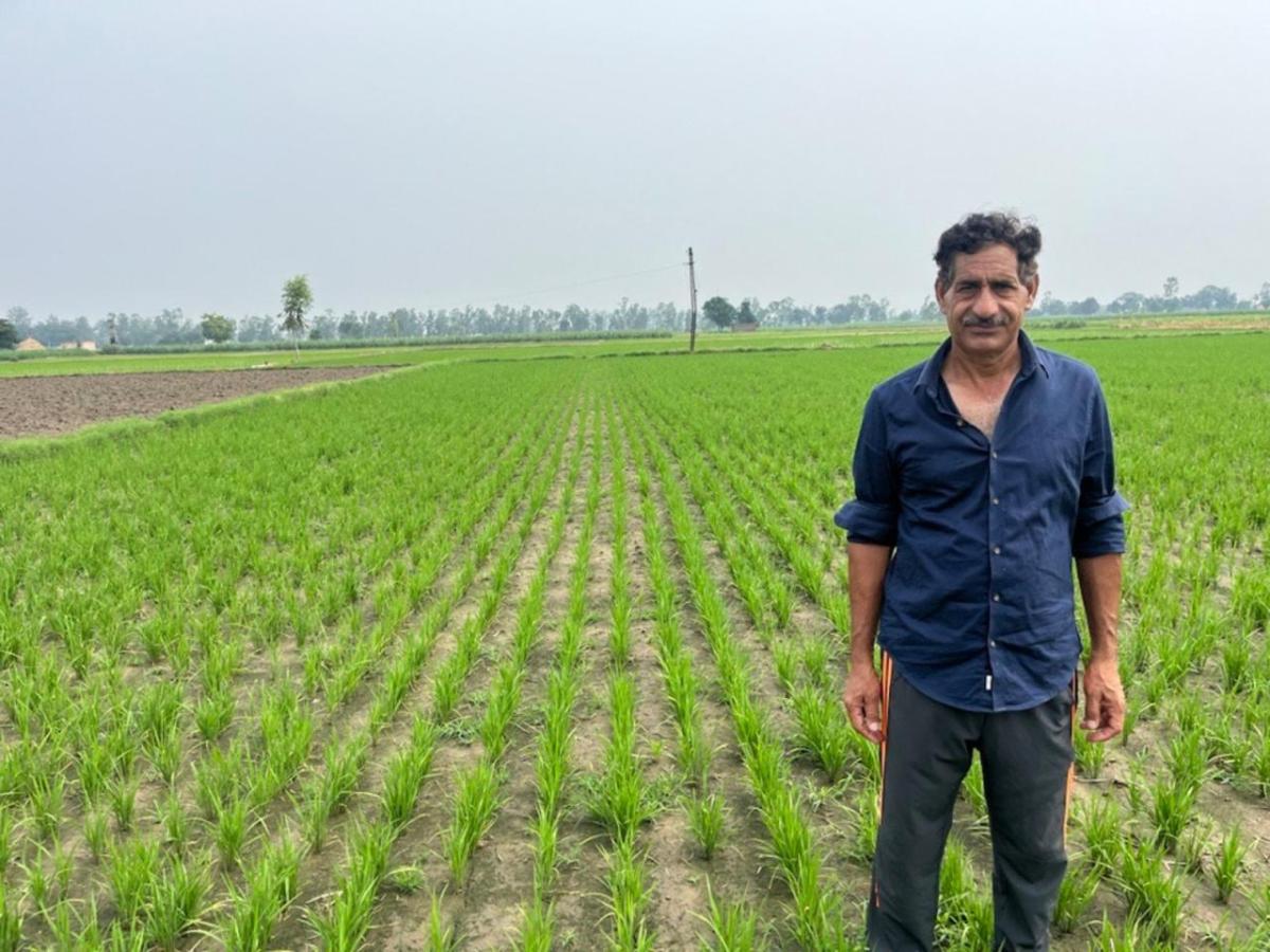 Person standing in green field