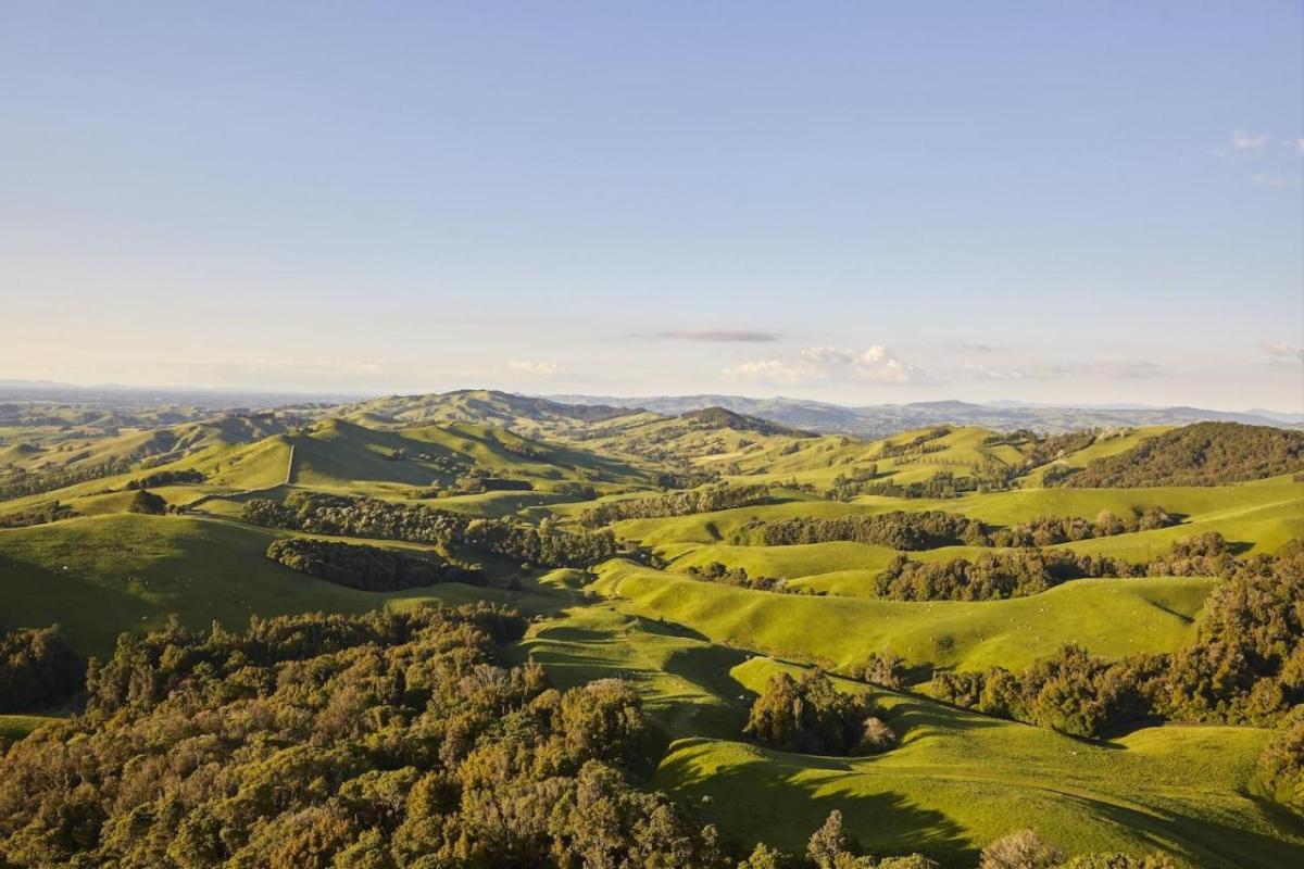 Rolling green hills