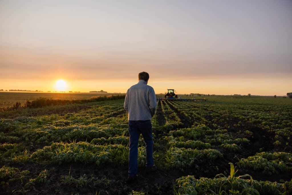 Andrew Barsness, farmer