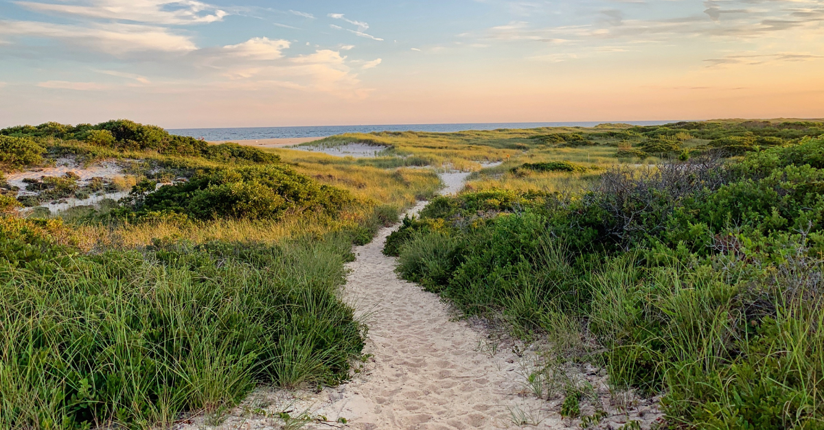 A river stream or path