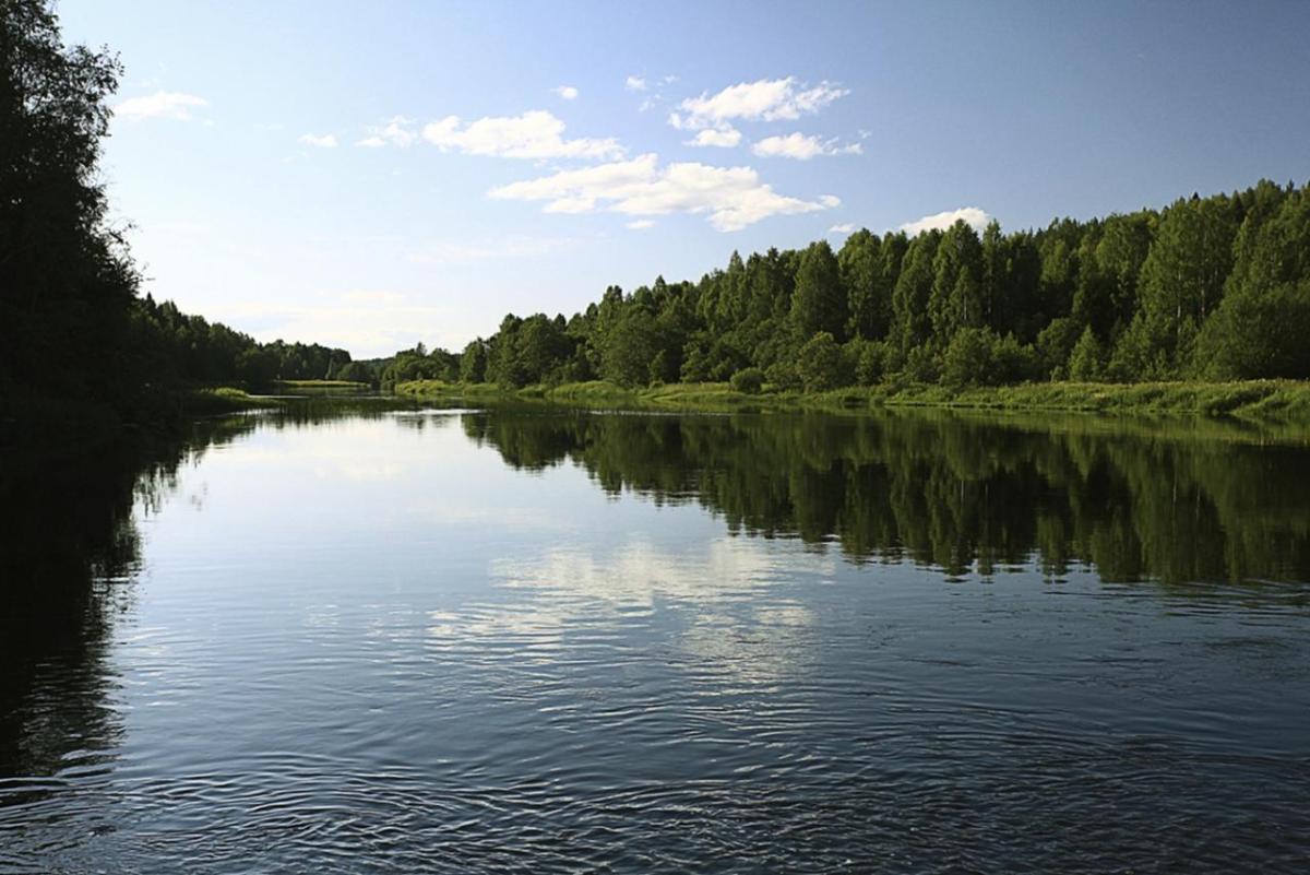 Landscape of a river flowing by green trees