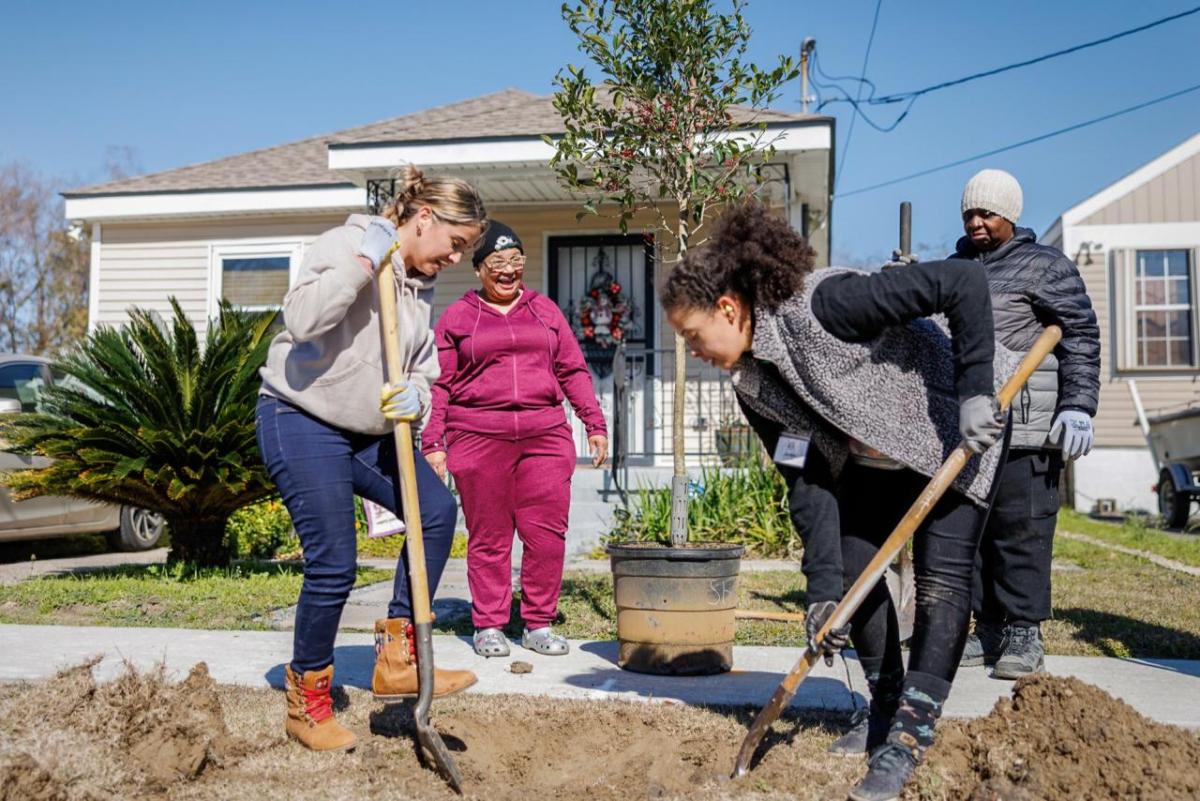 Two decades after Hurricane Katrina, the effort to replant a lost tree canopy still continues. The Arbor Day Foundation’s most recent planting in February brought dozens of new trees to New Orleans’ Lower Ninth Ward neighborhood.