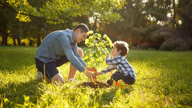 An adult and child knelt down planting a tree