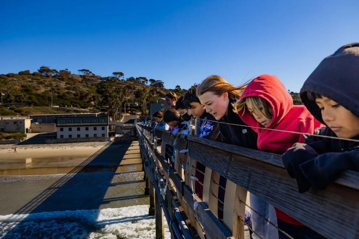 Photo courtesy of Birch Aquarium at Scripps Institution of Oceanography at UC San Diego " "