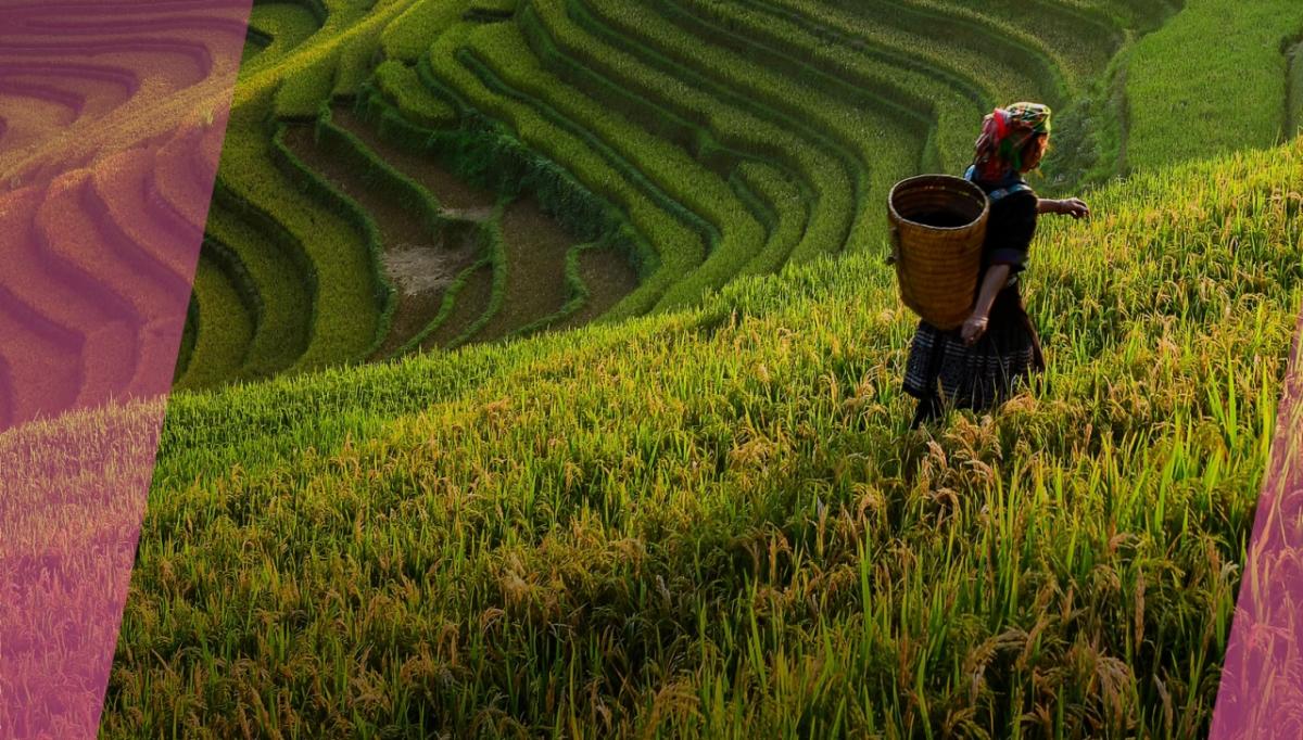 Farmer in a field. Bayer.