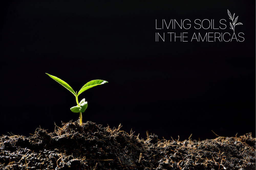 Soils are an essential natural resource for human development and maintaining the health of cultivated land is one of the most important challenges that agriculture in the Americas faces today.