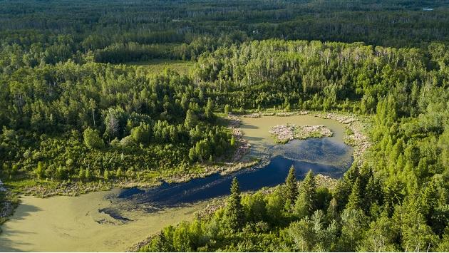 The Beaver Hills region of east-central Alberta. Photo by Brent Calver.