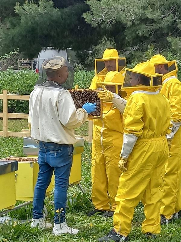Group of people wearing beekeeping suits while stood around bee hives
