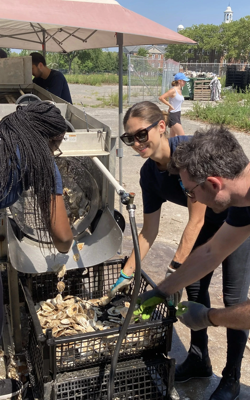 Three volunteers handling oysters at the Billion Oyster Project