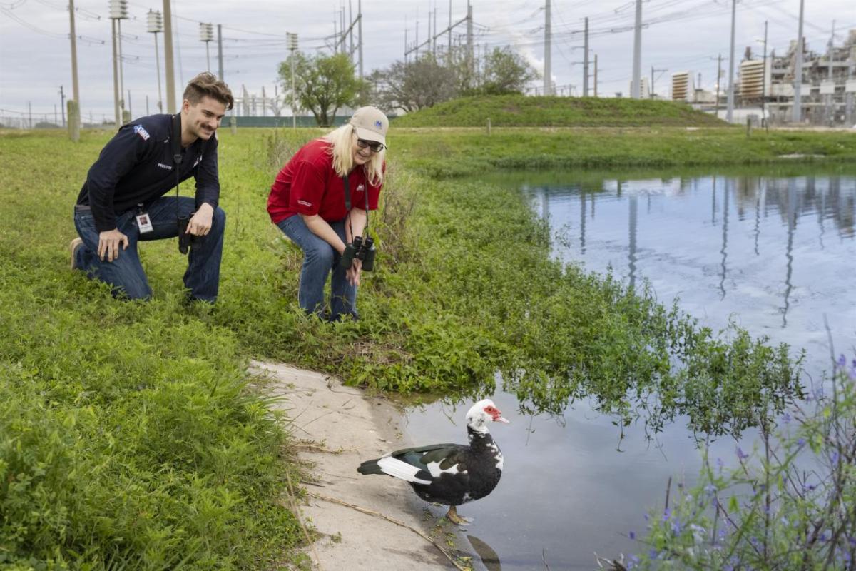 Two workers observing a duck with black, white, and red plumage