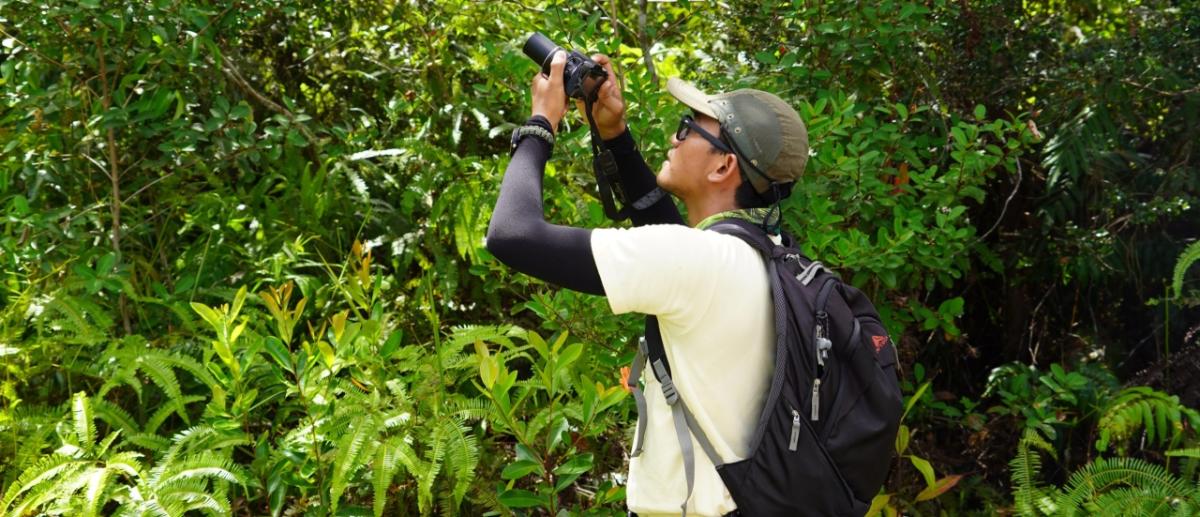 A person in heavy foliage taking a photograph