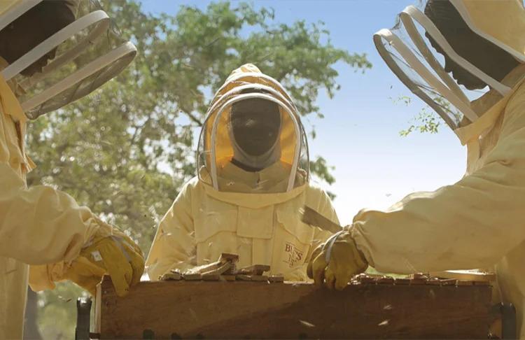 Protected bee keepers at a hive.