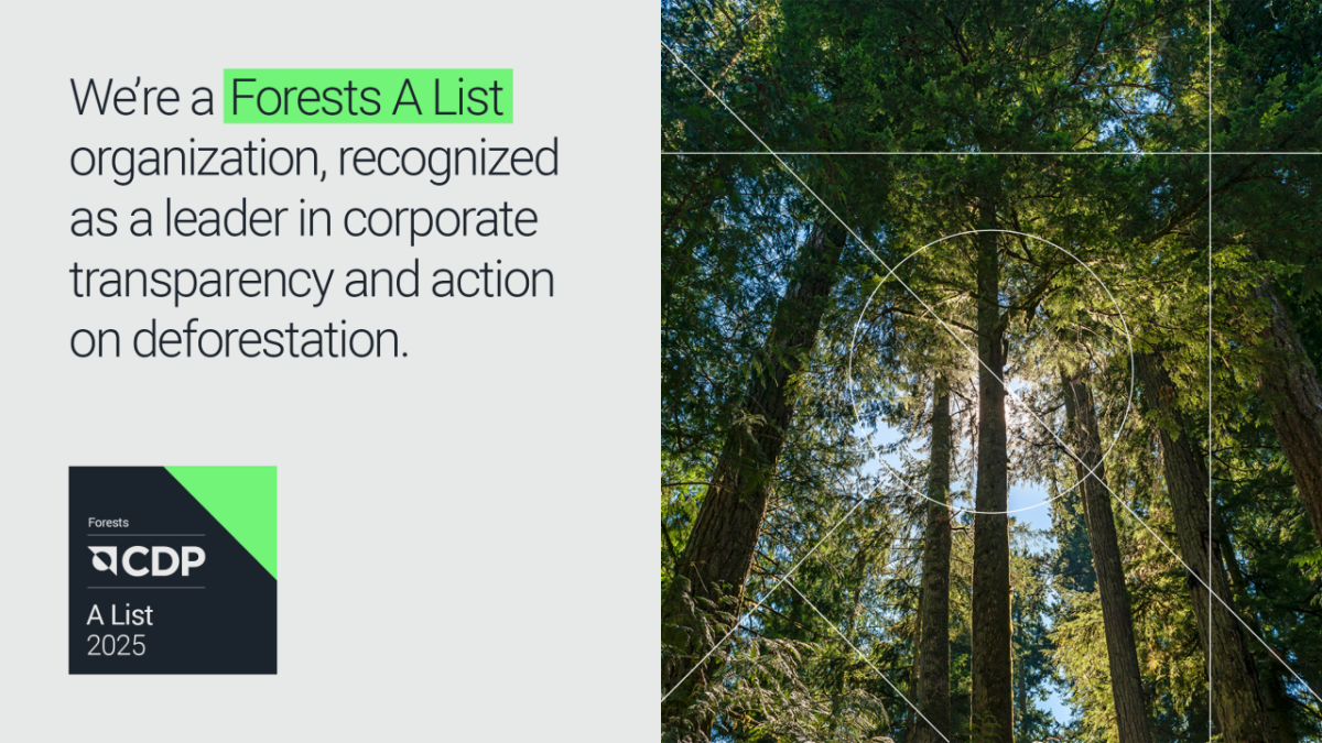 CDP A-list for Sappi North America