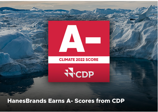 HanesBrands Earns A- score from CDP. Award logo is shown.