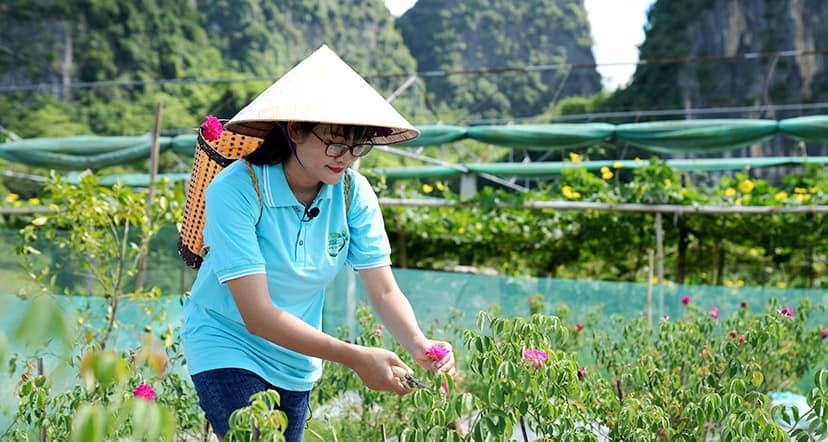 Pham Phoung Thao picking flowers outside