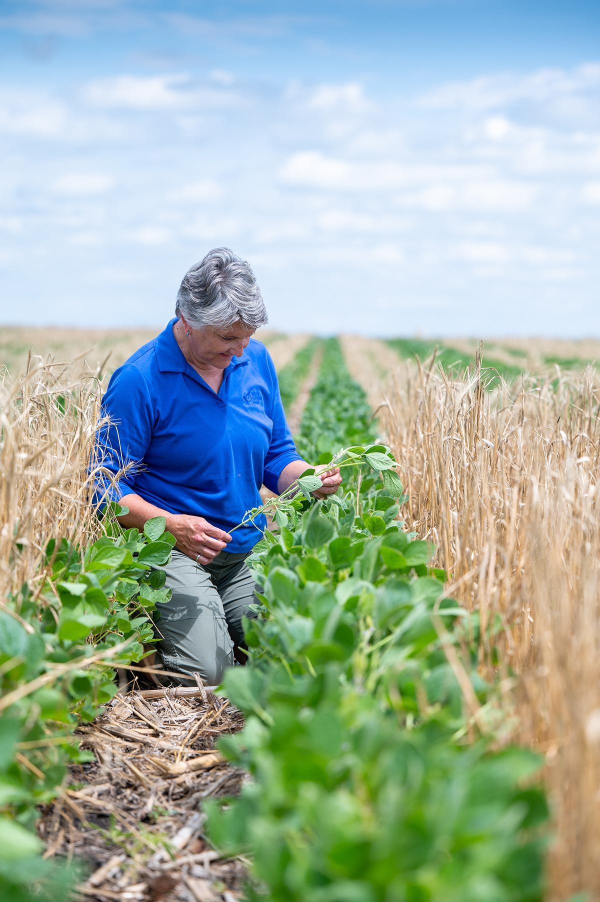 person working in a field