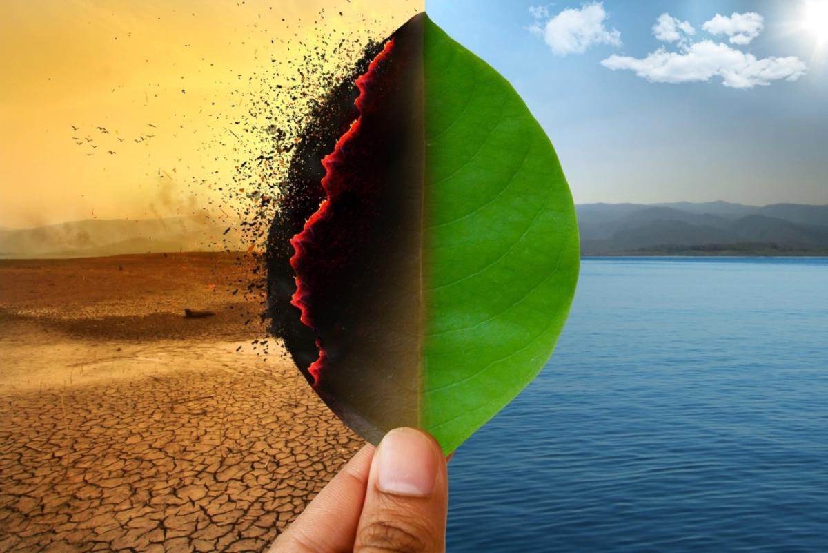 Hand holding leaf - on right side the leaf is green atop clear blue water and on left side leaf is black and burning atop parched dirt to depict climate change.