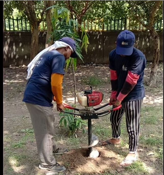 Cadence employees standing planting tree sapling