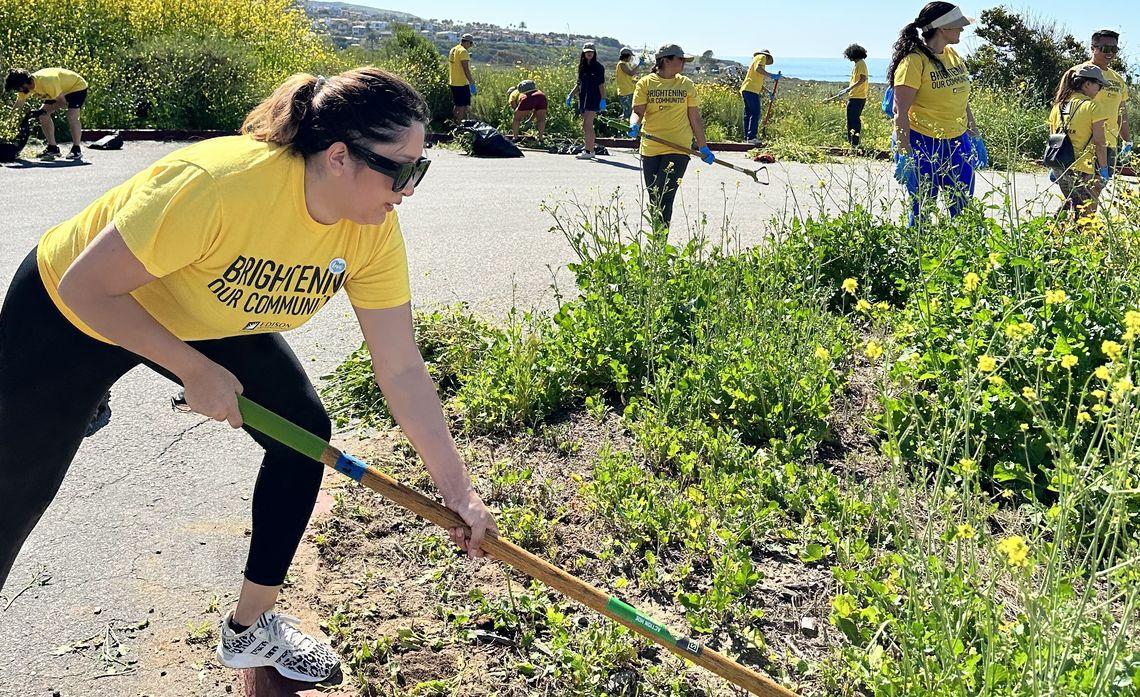 Volunteers doing landscape and weed control.