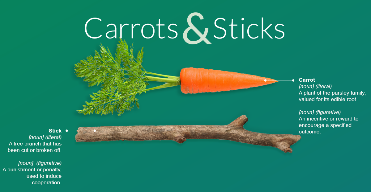 Carrots and Sticks report