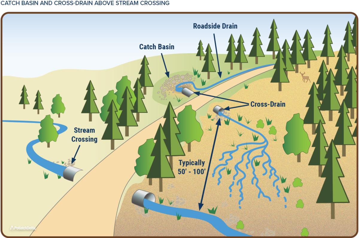 CATCH BASIN AND CROSS-DRAIN ABOVE STREAM CROSSING