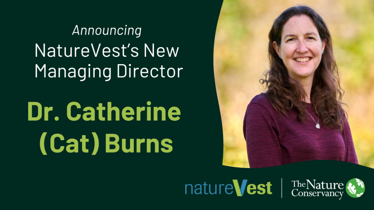 Dr. Catherine (Cat) Burns