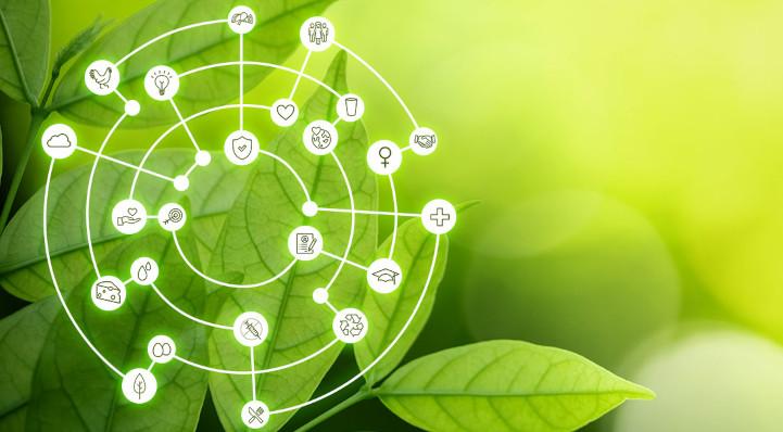 Image provided by Yum! Brands. A leaf with a sustainability Illustration