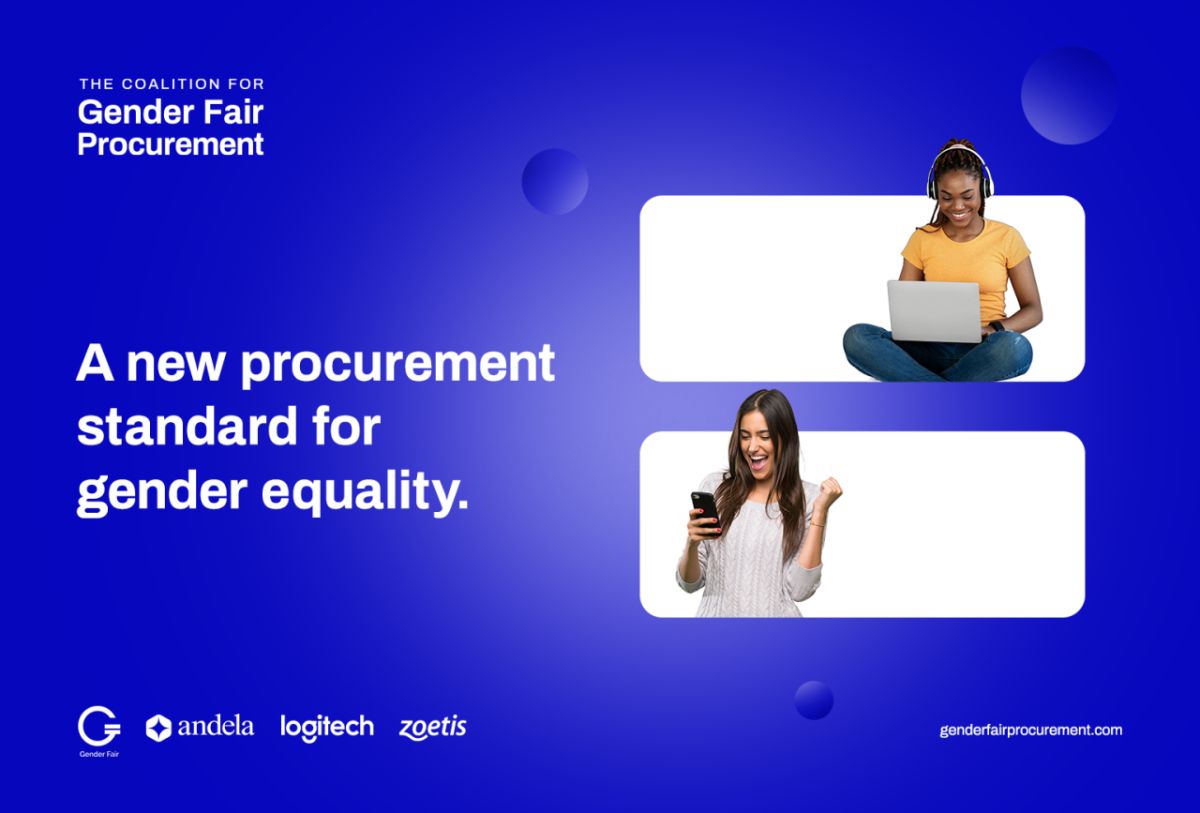 "A new procurement standard for gender equality"