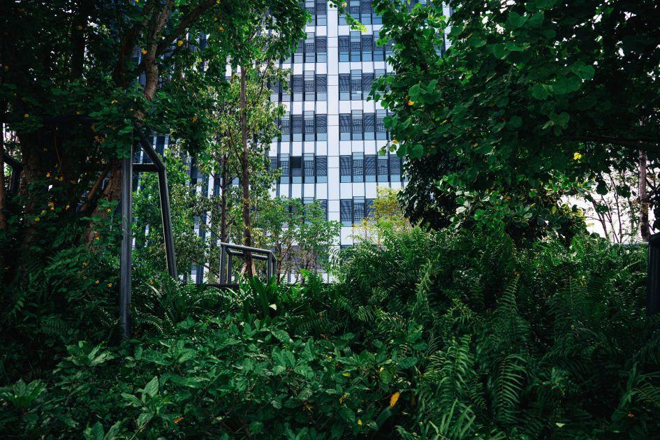 Corporate Climate Strategy