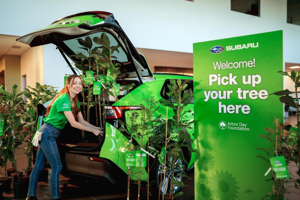 Volunteer placing trees in a Subaru Solterra