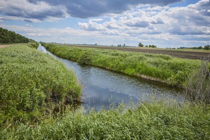 Waterway shown next to a green field.