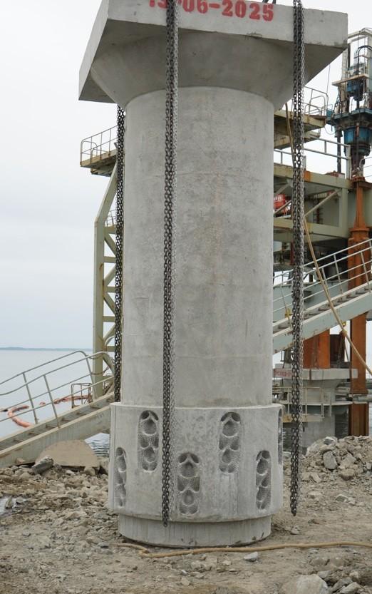 Living Seawalls pile installed at the Port of Posorja