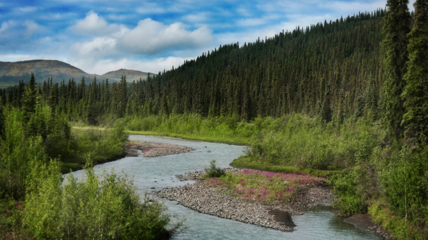 Denali National Park, one of three pilot parks participating in a Zero-Landfill Initiative. Photo © Saddako123/Dreamstime.