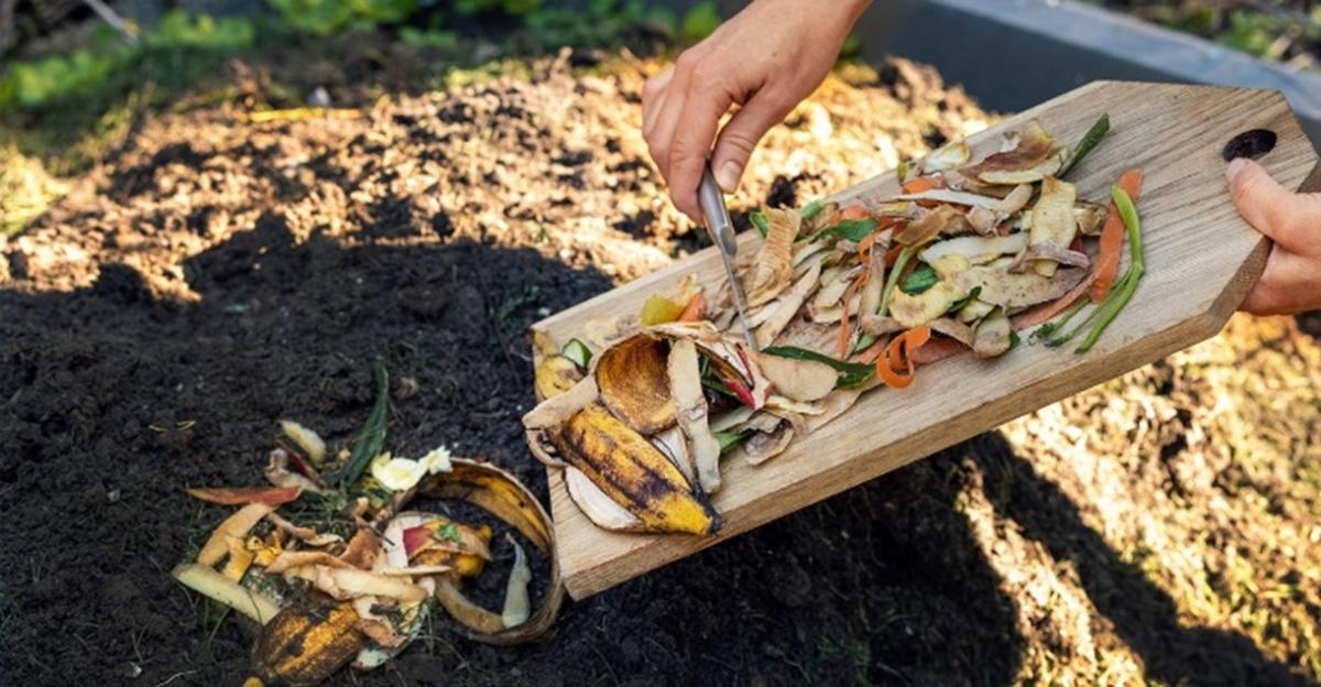 Ronstik | Alamy Stock Photo (Image courtesy of Waste360) Someone scraping food waste off a cutting board into a compost pile
