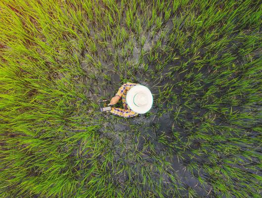 Aerial view of a person in a field piloting a drone.