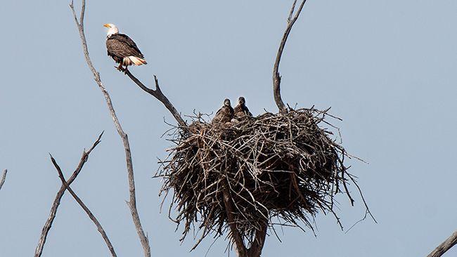 Photo Credit: June Frantz Hunt