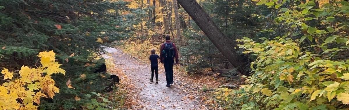 two people walking together in the woods