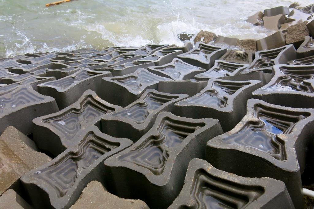 ECOncrete installation - 2020 Ray of Hope Prize Winner ECOncrete installation - 2020 Ray of Hope Prize Winner