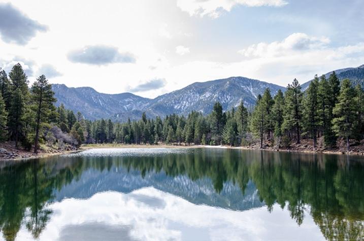 A mountainous landscape with trees and a lake in the foreground