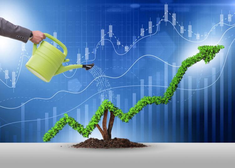 Image courtesy of Corporate Compliance Insights abstract image of person watering a plant whose leaves form a line graph trending up